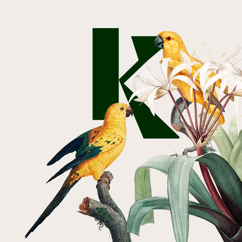 Logo für K Limonade