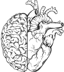 Durchs Hirn ins Herz - Diesem Grundgedanken folgt unsere Arbeit